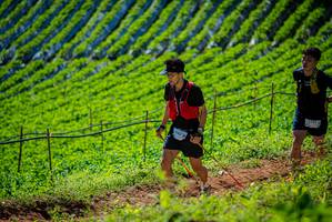 BIB: 439
                            <button type="button" onclick="openModal(19162442)" class="btn btn-primary btn-sm float-right btn-popup" data-toggle="modal" data-target=".modal-high-quality">
                        <i class="fas fa-shopping-cart"></i> Add to Cart
                    </button>
                                            <button type="button" onclick="isThisMe(19162442, true)" class="btn btn-success btn-sm float-right btn-popup btn-isme hidden" data-toggle="tooltip" data-placement="bottom" title="นี่คือรูปของคุณใช่ไหม คลิกที่นี่เพื่อเอาเข้าอัลบั้ม">
                        <i class="fas fa-plus"></i> Add to album
                    </button>
                    <button type="button" onclick="isThisMe(19162442, false)" class="btn btn-warning btn-sm float-right btn-popup btn-isnotme hidden">
                        <i class="fas fa-ban"></i> Remove from album
                    </button>